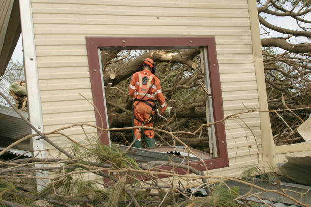 Best Emergency Tree Removal  in Zwolle, LA